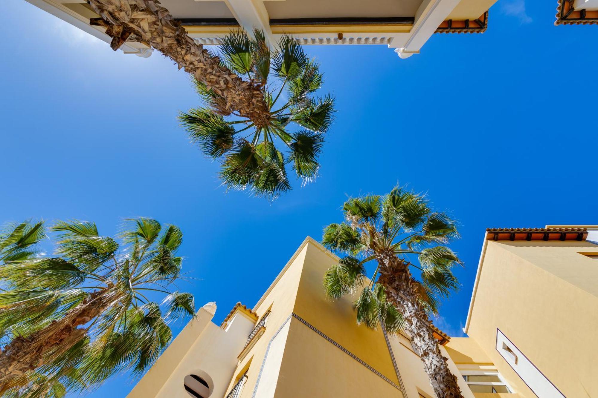 Premium Apartment Beach Aldea Del Mar Torrevieja Exterior photo